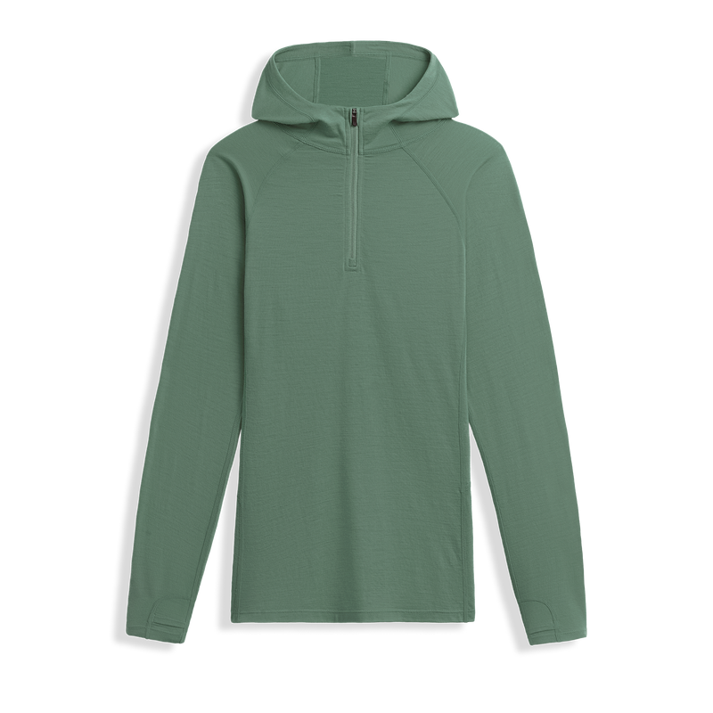 Ibex 2024 wool hoodie